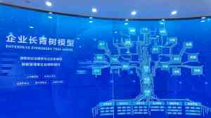 权威推荐:昆明视频拍摄剪辑定制、代运营及报价营销优质服务商大盘点