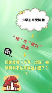 石家庄家庭教育领域优质机构推荐:河北领思科技等 5 家脱颖而出