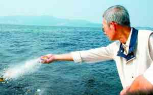 秦皇岛、天津、北海、北京、河北骨灰海葬及祭奠服务优质机构推荐