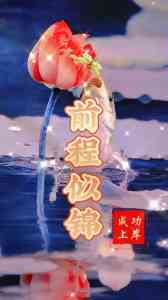 权威解析：北京志愿填报防滑档方案及优质高考志愿填报服务机构推荐