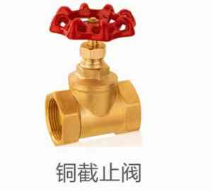 权威推荐:沟槽明杆闸阀等阀门制造商及供货商优质之选