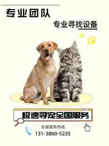 本地找狗服务公司推荐:极速寻宠,专业靠谱,30分上门开启寻宠之旅