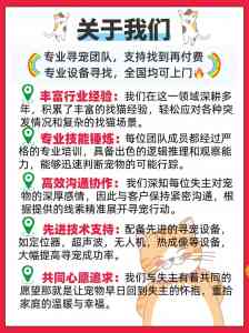 专业找猫公司权威推荐:极速寻宠领衔,为您爱猫回家保驾护航