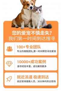 河北、天津、北京寻宠服务优选：极速寻宠领跑专业找猫服务