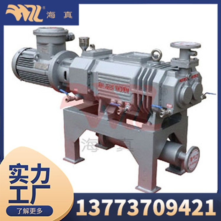 HZGP Type — Variable Speed Screw Vacuum Pump