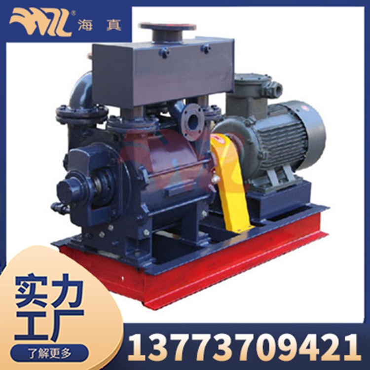 2BE 102-253 Series Water (Liquid) Ring Vacuum Pumps