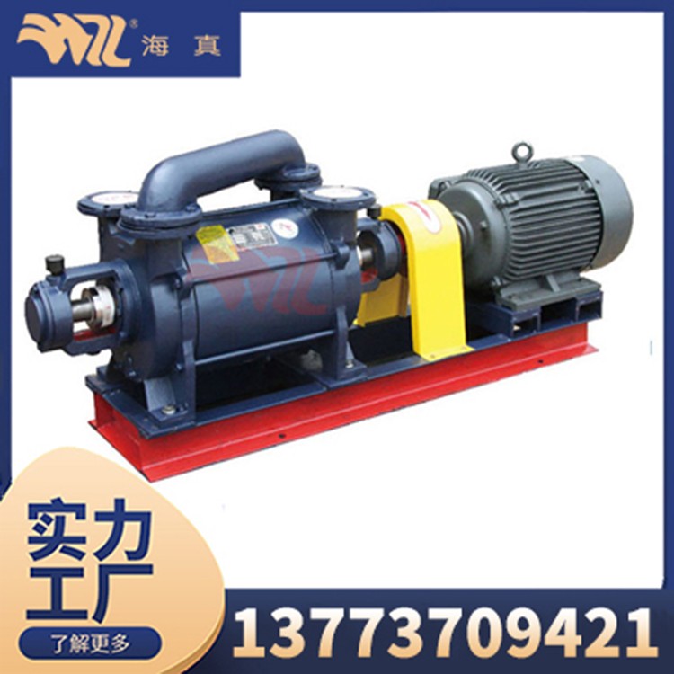 2SK - Single Stage Water Ring Vacuum Pump