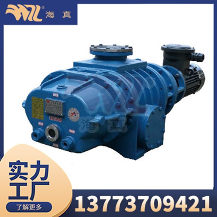 ZJ Series Roots Vacuum Pumps