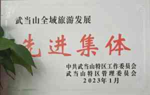十堰优质武校推荐:十堰市武当山旅游经济特区玄岳功夫武校领衔