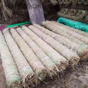 护坡草毯、环保稻草毯供应商推荐：聚焦优质厂家，适配多样绿化场景