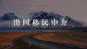 巴拿马与土耳其出国留学移民服务权威推荐：专业机构助力海外发展