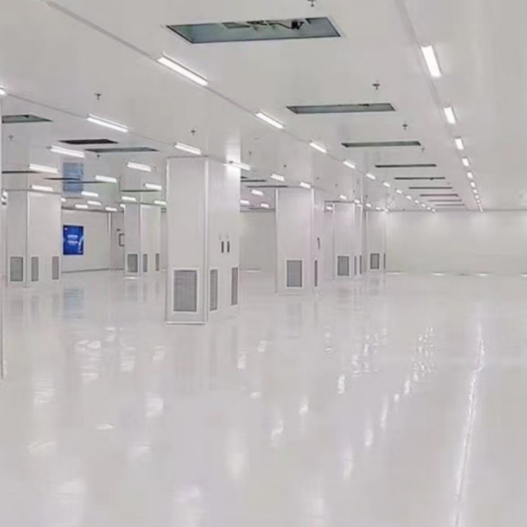 Food purification project