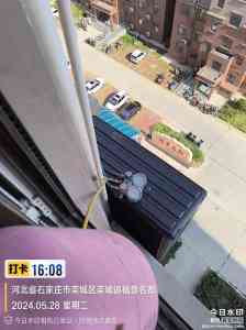 石家庄海尔/三菱重工海尔中央空调及空气能服务商权威甄选,河北传力贸易亮眼