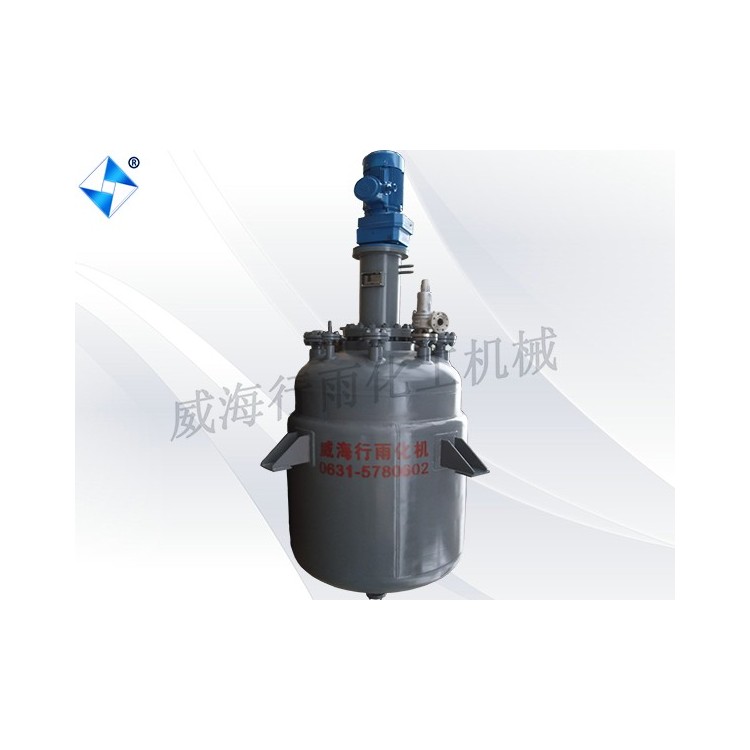 Stainless Steel Reactor