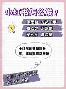 保定、石家庄、内蒙古等地小红书代运营服务优质商推荐,实力之选不容错过