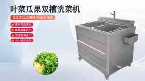 毛菜清洗机、涡流震动洗菜机等供货厂家优选：聚焦优质企业实力解析