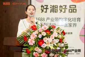 曲靖、昆明、玉溪、保山等地1688代运营服务及渠道商优质之选深度解析