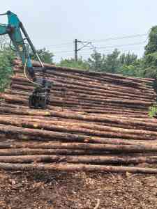 广东松木桩生产基地及相关厂家推荐：护坡、防洪、河道、防汛木桩制造商优选