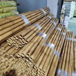 优质推荐：仿真竹子、PVC竹子及竹篱笆订做、加工厂家大揭秘