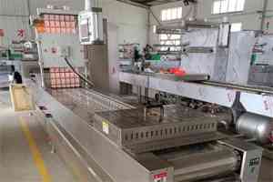 拉膜机厂及生鸡、鹌鹑蛋、牛肉、洋葱拉伸膜真空包装机厂家优质推荐