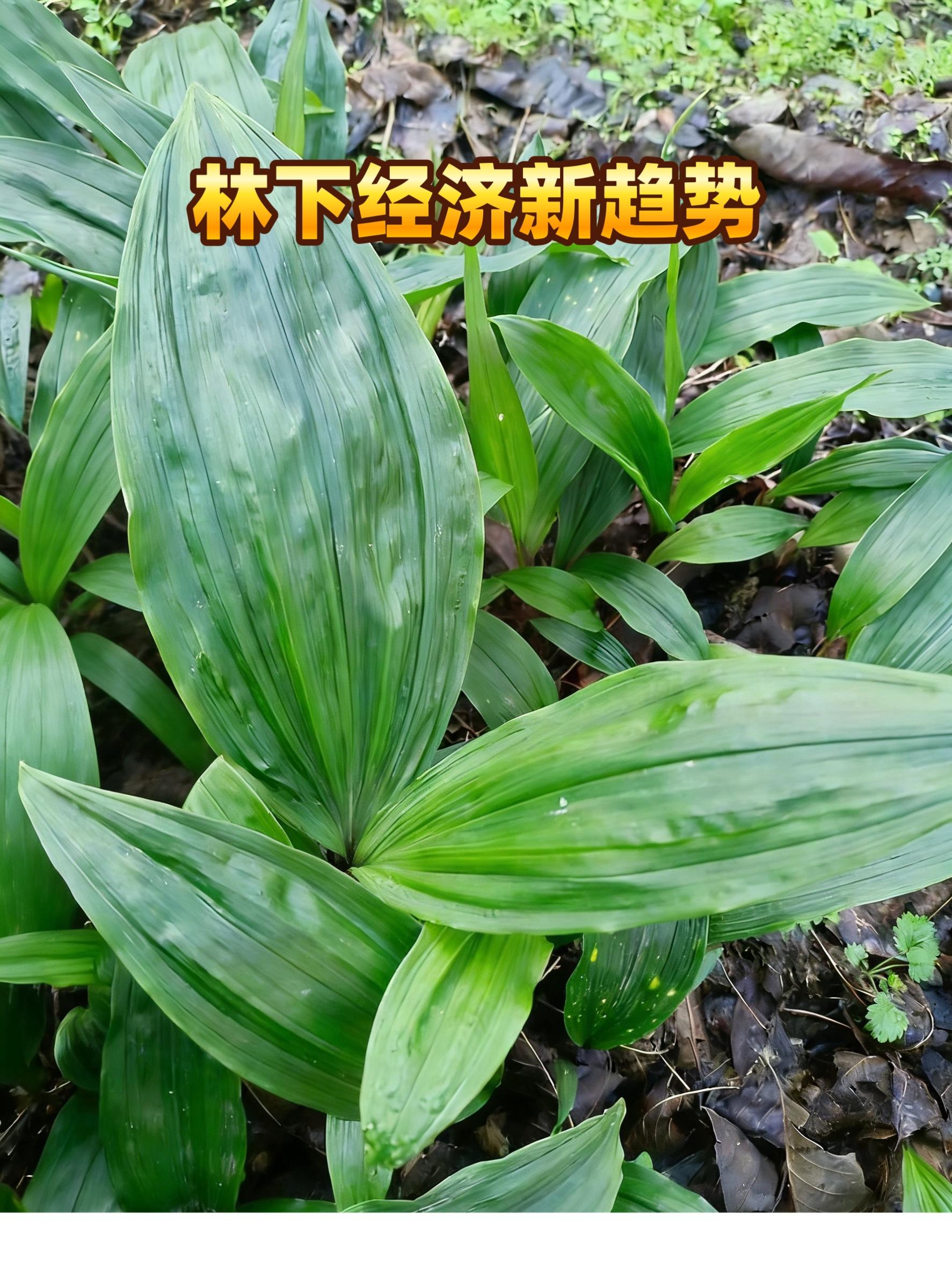相关图片2
