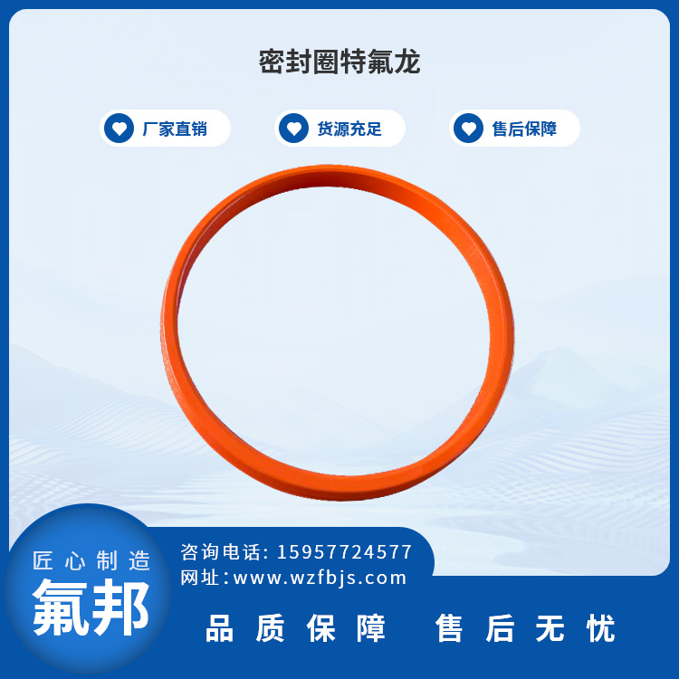 密封圈特氟龙