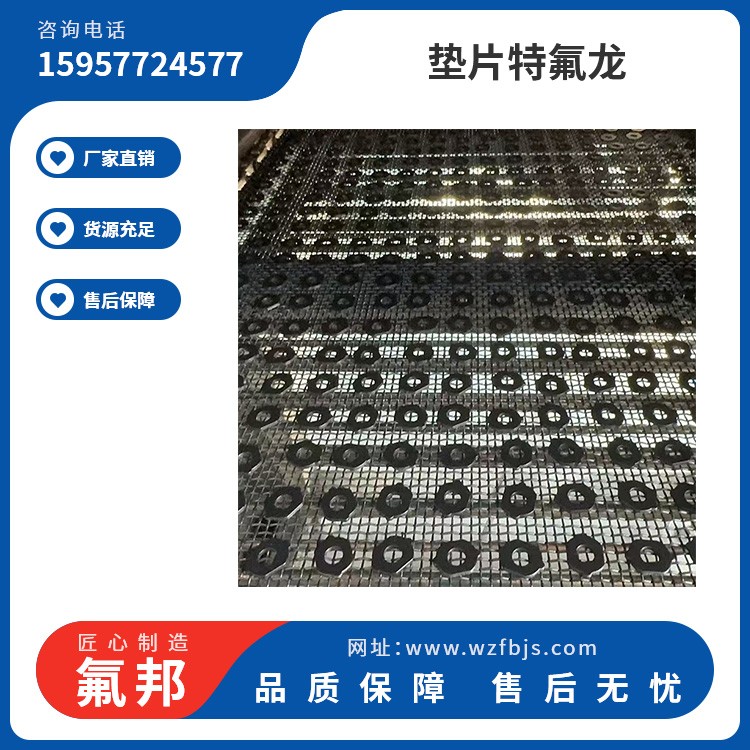 垫片特氟龙