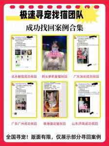 本地找猫服务公司推荐:极速寻宠领跑,30分钟上门全天守护爱猫回家路
