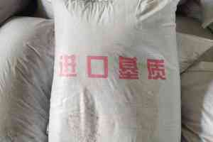 进口基质土供货厂家推荐:蔬菜育苗、蓝莓基质批发优质供应商揭秘