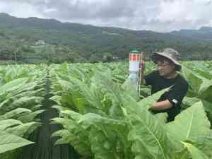 防草布批发价格直销厂家实力推荐：适配多场景的生态防草布优质之选