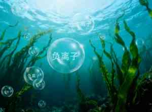 海藻炭泥负离子纤维及面料厂家推荐:山东海纤生物等优质供应商精选
