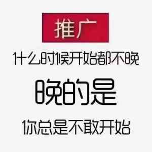 郑州抖音矩阵推广与培训服务优质推荐:若佳网络领衔多城营销解决方案