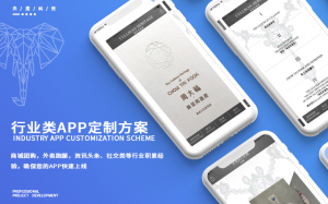 长春、沈阳、石家庄、太原、广州等地小程序开发服务及营销体验深度解析