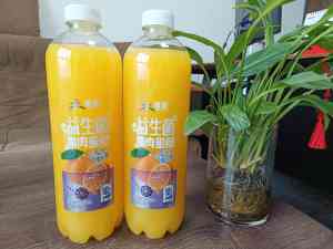 植物蛋白、葡萄糖补水液等饮料厂家推荐：优质企业大揭秘