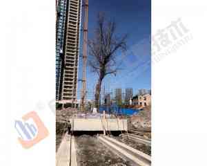 权威推荐:哈尔滨/长春/合肥/杭州/南京建筑平移及纠偏加固工程优质机构