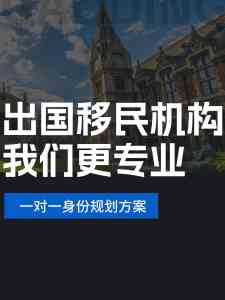 权威推荐：土耳其与巴拿马出国移民服务、政策及流程优质机构解析