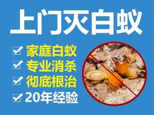 厦门、泉州、福州、莆田、漳州白蚁上门根除机构权威推荐:聚焦优质服务