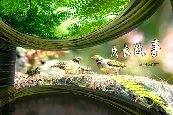 图片2