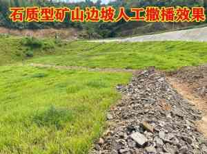 权威推荐:江苏、黑龙江、上海等地优质草花、牧草、绿肥种子供应商精选