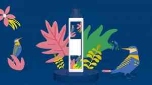 家清日化OEM优质厂家推荐:嘉兴环洲卫生用品有限公司,一站式定制服务之选
