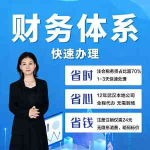 武汉变更注销、财税合规、股权设计及代理记账服务优质机构推荐