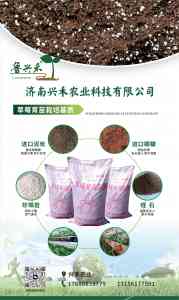 草莓专用基质厂家权威推荐：合作社、大棚种植适配，专业订制批发之选