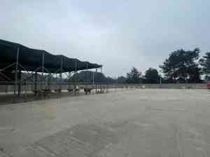 重庆宠物训练服务首选：重庆犬能训宠物服务有限公司，多方位解决宠物行为难题