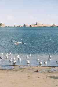 西北精品小包团旅游哪家好？青海寻梦环游国际旅行社有限公司游客满意度提升 20%