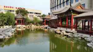 北京学校花园、生态屋顶花园等服务优质之选:多家实力企业推荐
