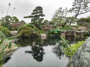 2026年花木公司最新推荐：鄢陵县金地园艺场之北京紫薇树、西宁红枫树等多品种权威解析