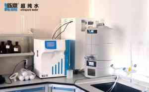 2026年国内实验室纯水设备品牌全景解析报告，基于专业测评的技术、性能及市场优势深度分析！