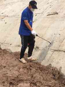 2026年重庆螨类、蜱类、蝇类及鼠类防治服务推荐：重庆猫大哥有害生物防治有限公司