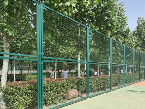 2026年国内体育围网产品全景解析报告，基于专业测评的技术、性能及市场优势深度分析！