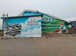 墙绘服务优质提供商推荐保定瑞峰涂料，专业打造合肥幼儿园、杭州餐厅、福州KTV等多地墙绘项目